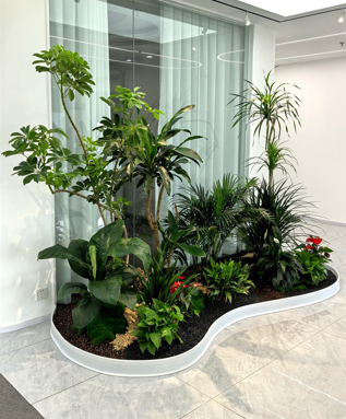 江北绿植租赁方案-余姚绿植租摆网络-余姚绿化养护责任-海曙花卉租赁费用